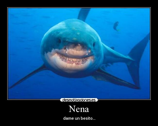 Nena - 