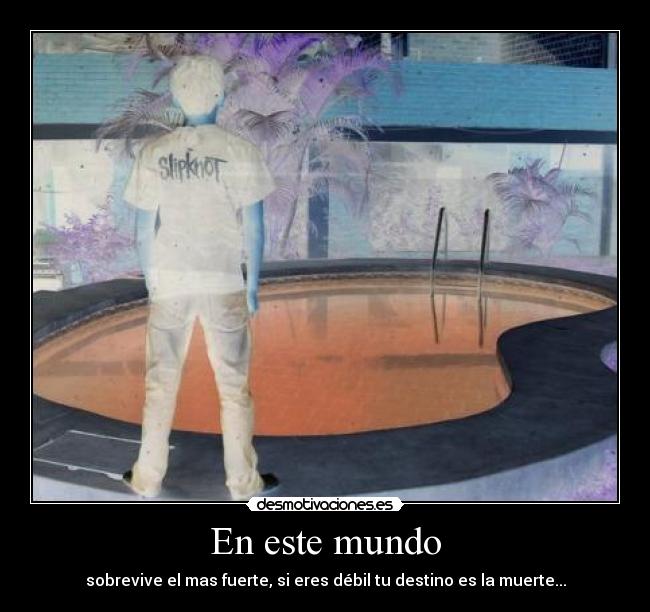 En este mundo - sobrevive el mas fuerte, si eres débil tu destino es la muerte...