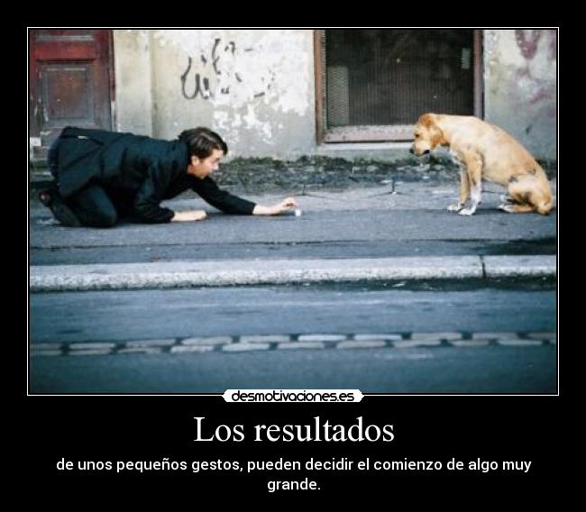 Los resultados - de unos pequeños gestos, pueden decidir el comienzo de algo muy grande.
