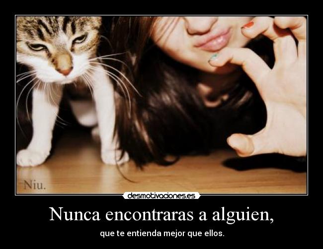 Nunca encontraras a alguien, -