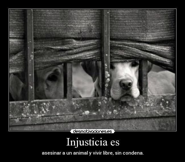 Injusticia es -