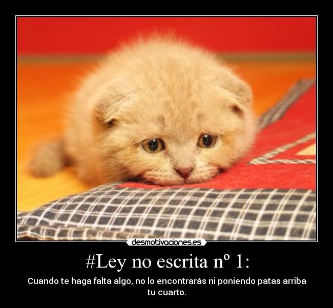 #Ley no escrita nº 1: -