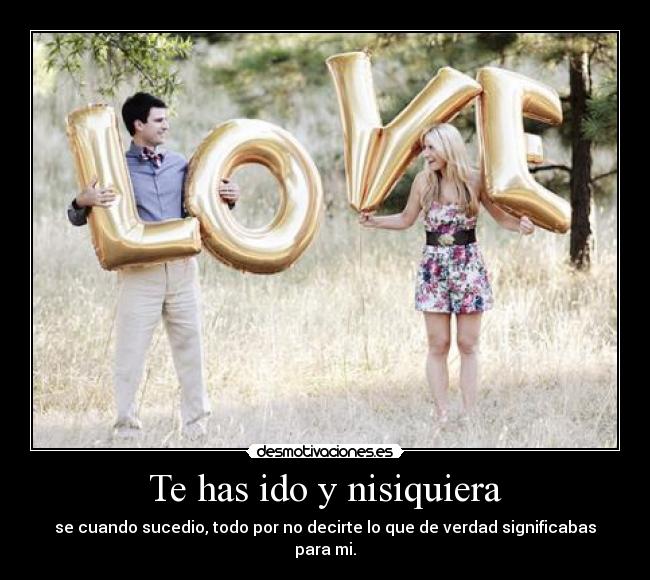 Te has ido y nisiquiera - se cuando sucedio, todo por no decirte lo que de verdad significabas para mi.