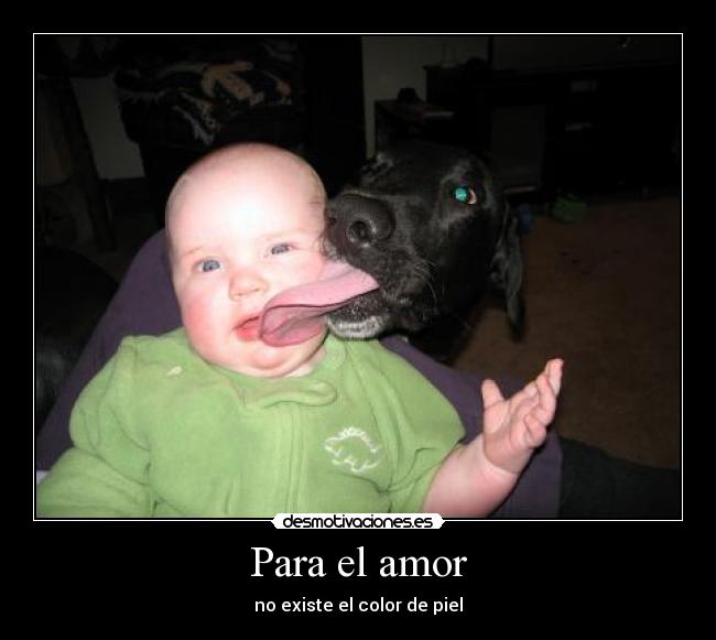 Para el amor - 