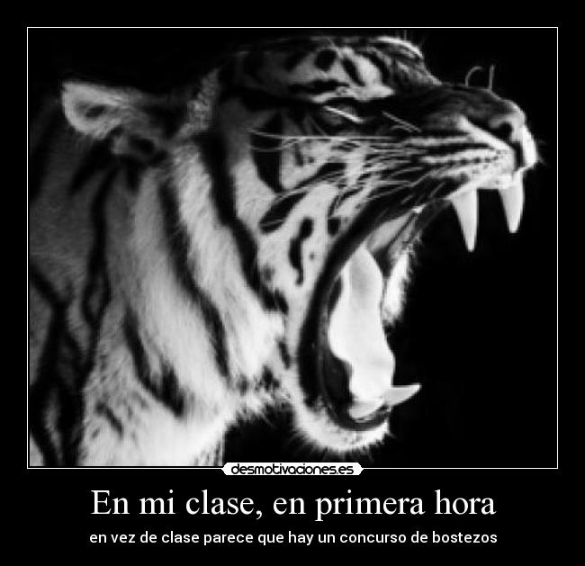 En mi clase, en primera hora - 