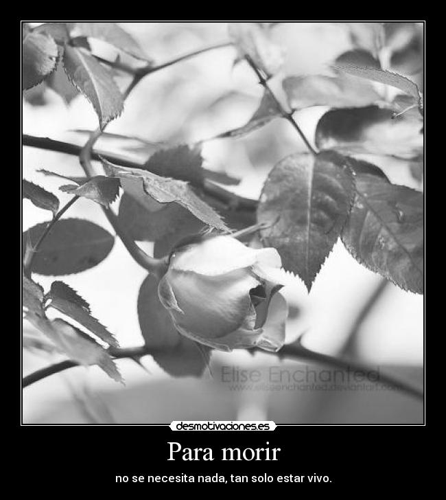 Para morir - 