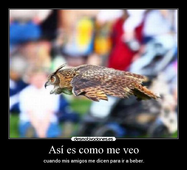 Así es como me veo -