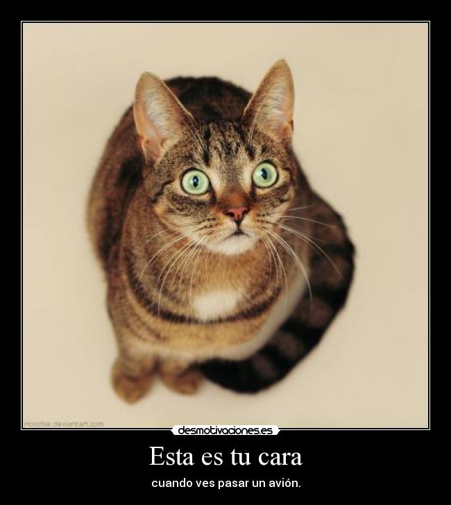 carteles suele suceder desmotivaciones