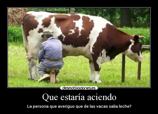 Que estaría aciendo - La persona que averiguo que de las vacas salia leche?