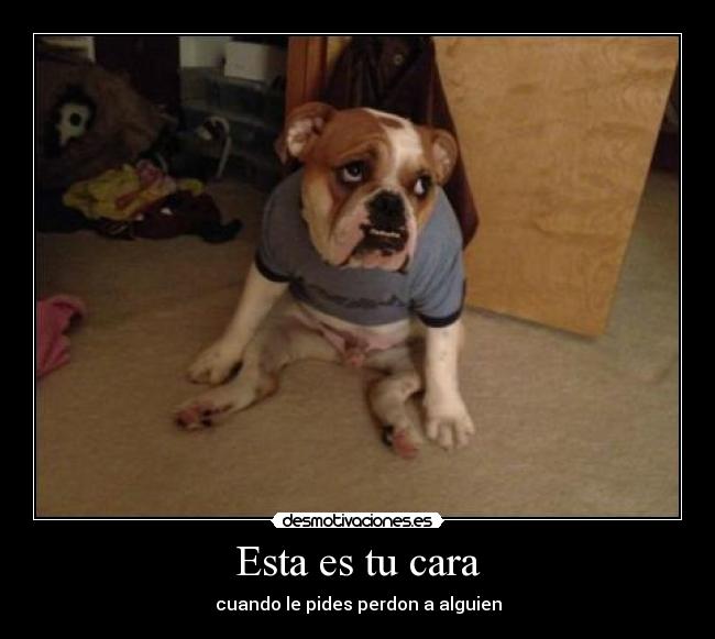 Esta es tu cara - cuando le pides perdon a alguien