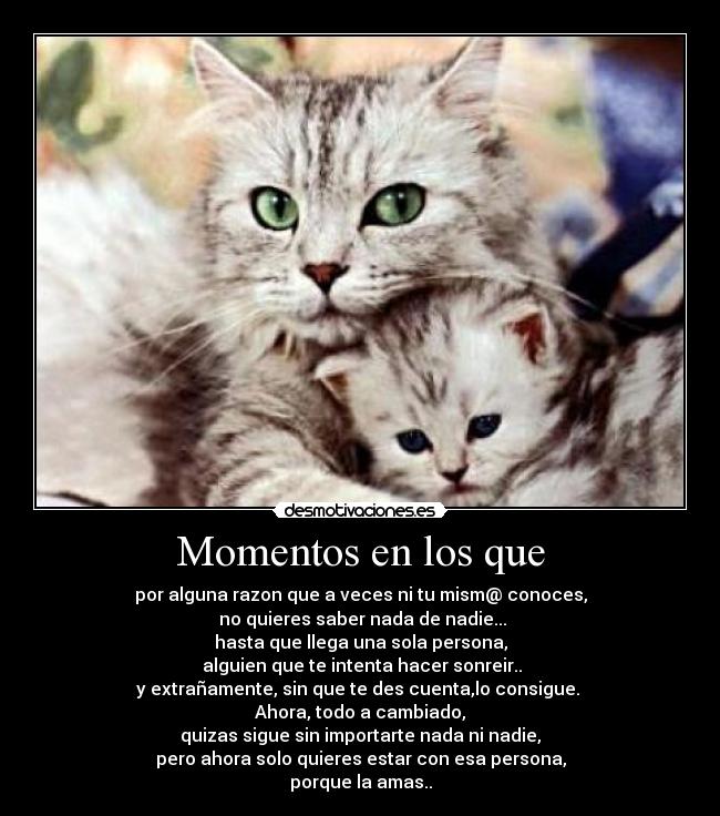 Momentos en los que - por alguna razon que a veces ni tu mism@ conoces,
 no quieres saber nada de nadie...
hasta que llega una sola persona,
 alguien que te intenta hacer sonreir..
y extrañamente, sin que te des cuenta,lo consigue. 
Ahora, todo a cambiado,
quizas sigue sin importarte nada ni nadie,
pero ahora solo quieres estar con esa persona,
porque la amas..