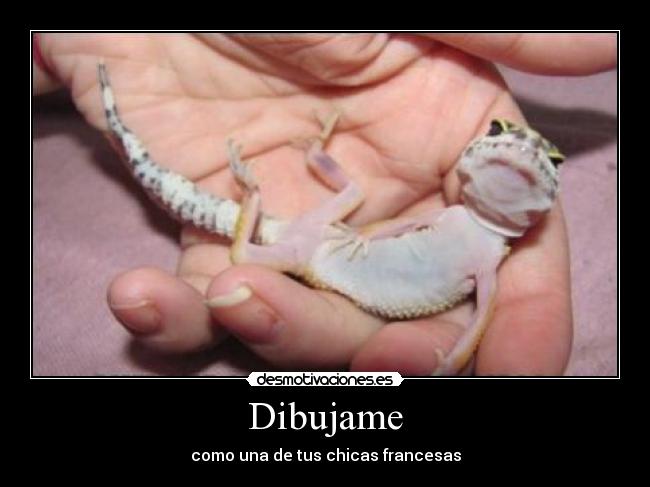 Dibujame -