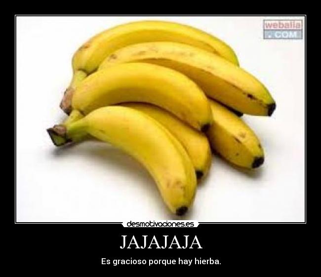 JAJAJAJA - Es gracioso porque hay hierba.