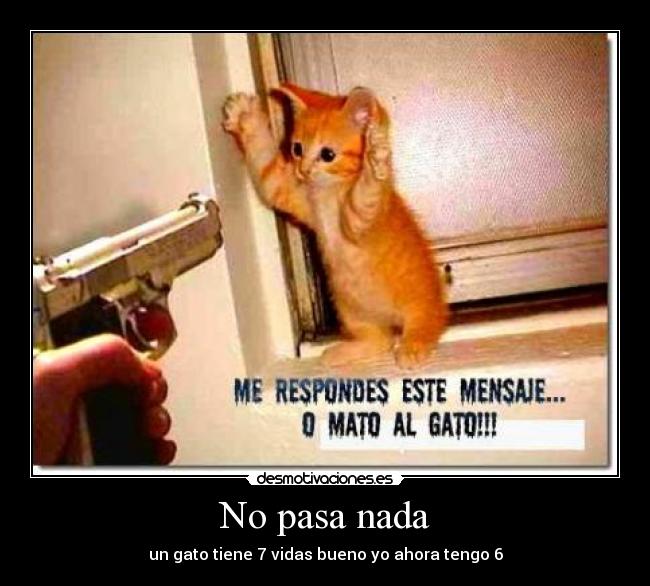 No pasa nada - un gato tiene 7 vidas bueno yo ahora tengo 6