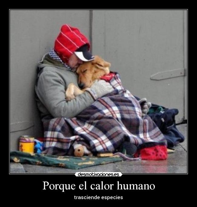 carteles humano perro abrazo desmotivaciones