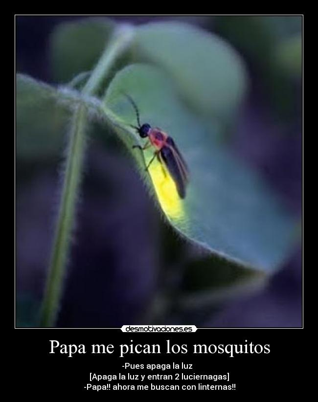 carteles mosquitos chiste llool luciernagas desmotivaciones