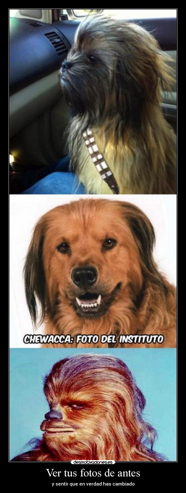 Ver tus fotos de antes - y sentir que en verdad has cambiado