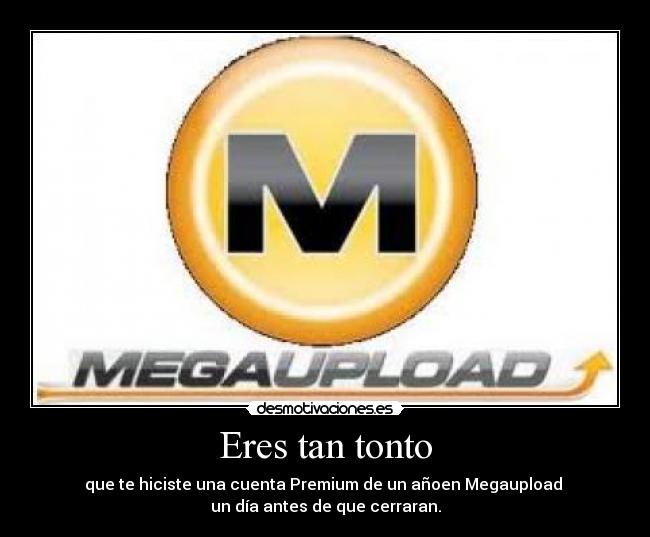 Eres tan tonto - que te hiciste una cuenta Premium de un añoen Megaupload 
un día antes de que cerraran.