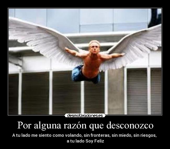 Por alguna razón que desconozco -