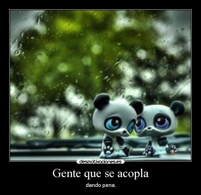 Gente que se acopla - 