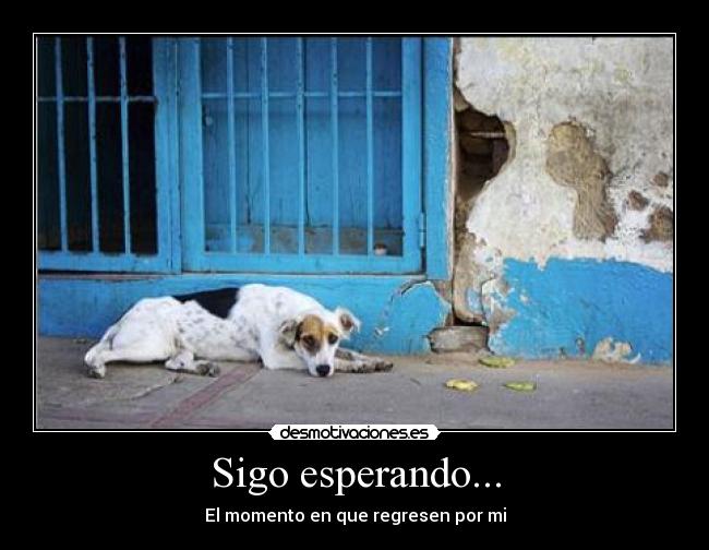 Sigo esperando... -