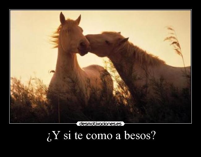 ¿Y si te como a besos? -