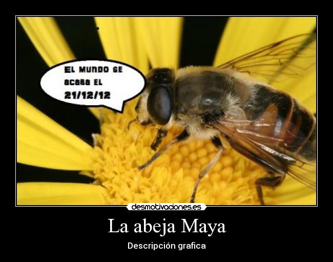 La abeja Maya - Descripción grafica