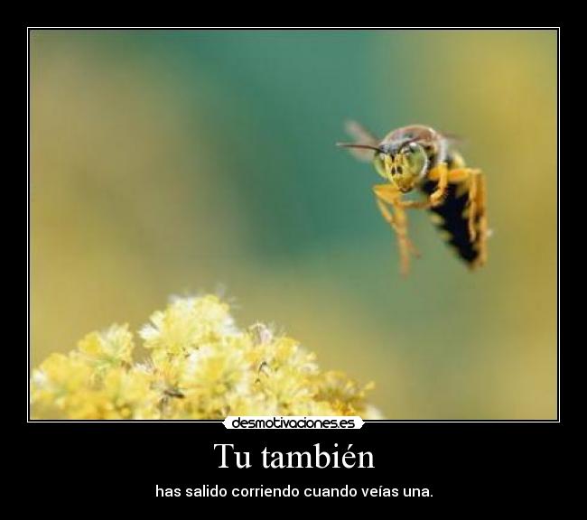 Tu también - has salido corriendo cuando veías una.