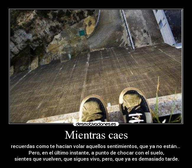 Mientras caes -