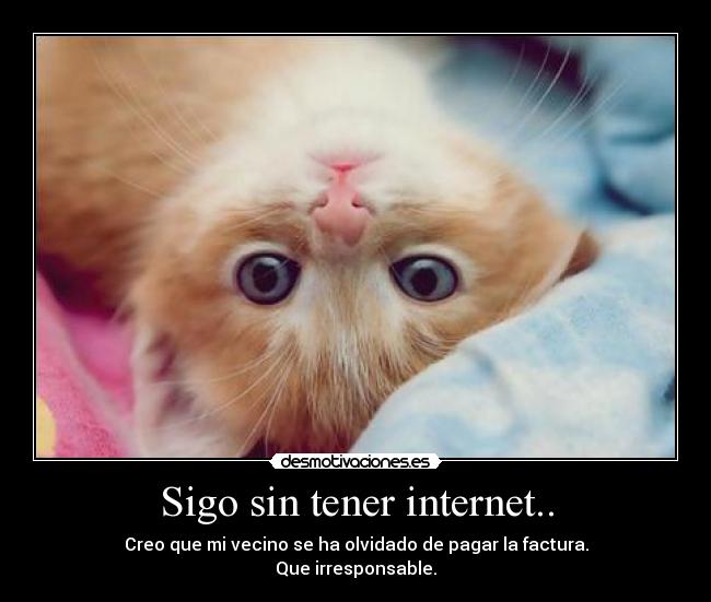 Sigo sin tener internet.. - 