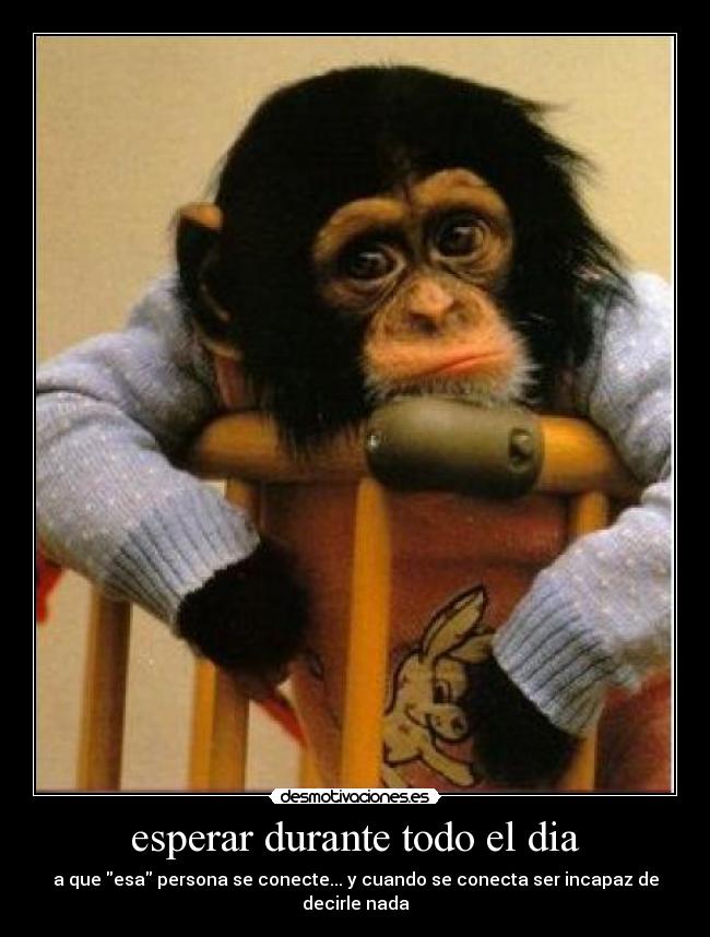 esperar durante todo el dia - a que esa persona se conecte... y cuando se conecta ser incapaz de decirle nada