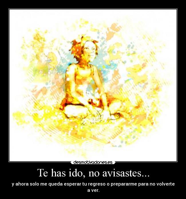 carteles ace one piece ido sabes que qede llorando regreso desmotivaciones