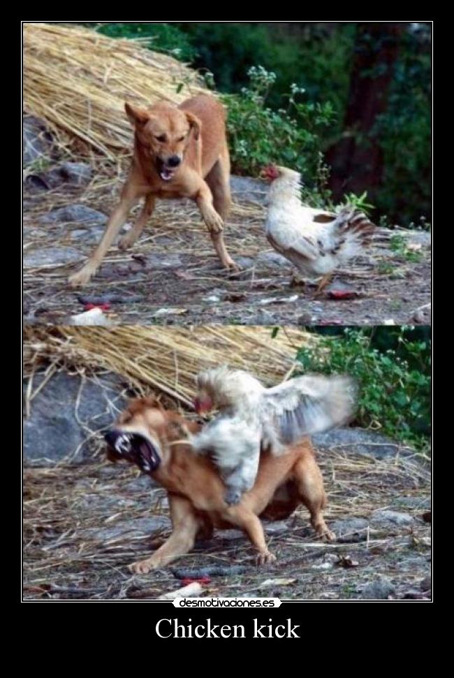 Chicken kick - 