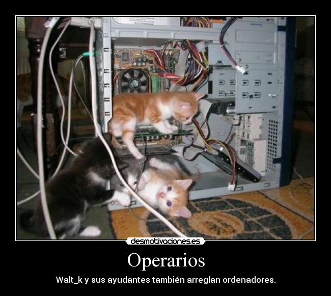 Operarios - 