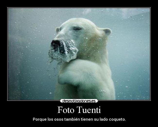 Foto Tuenti - Porque los osos también tienen su lado coqueto.