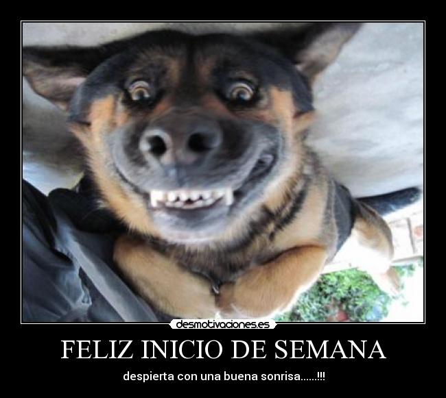 FELIZ INICIO DE SEMANA - despierta con una buena sonrisa......!!!