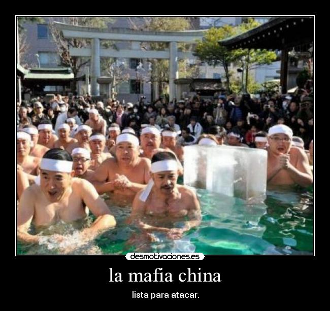 la mafia china - lista para atacar.