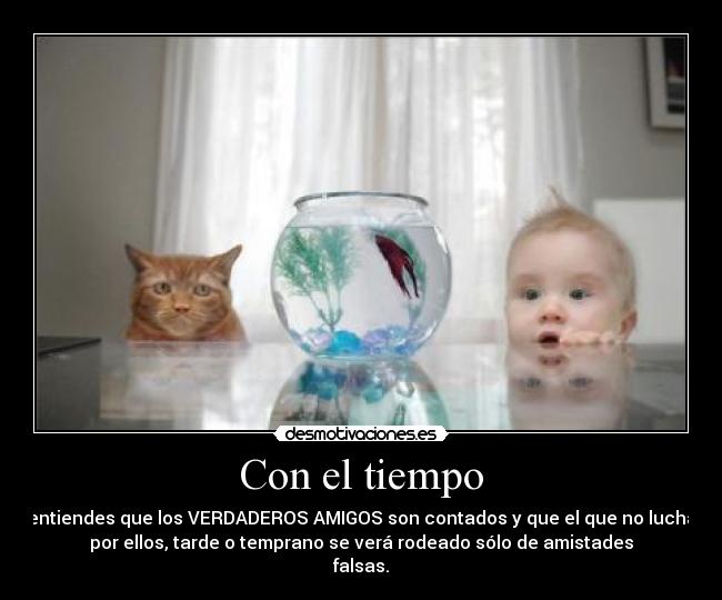 Con el tiempo - entiendes que los VERDADEROS AMIGOS son contados y que el que no lucha
por ellos, tarde o temprano se verá rodeado sólo de amistades
falsas.