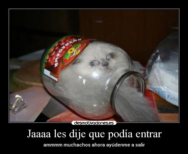 Jaaaa les dije que podía entrar - ammmm muchachos ahora ayúdenme a salir