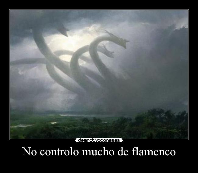 No controlo mucho de flamenco -