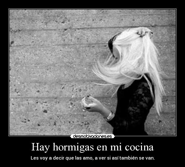 Hay hormigas en mi cocina - 