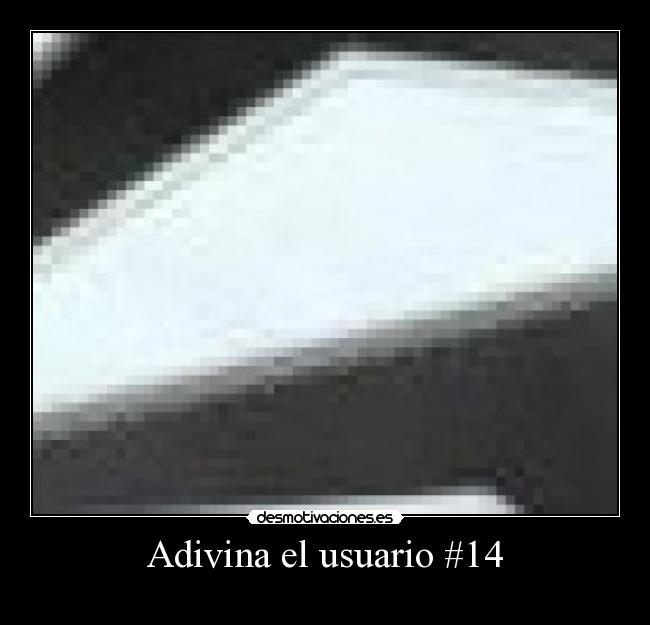 Adivina el usuario #14 - 