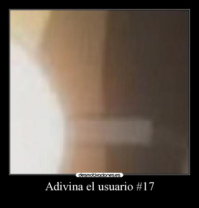 Adivina el usuario #17 - 