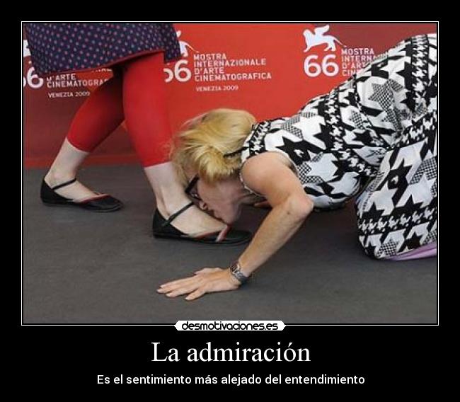 La admiración - Es el sentimiento más alejado del entendimiento