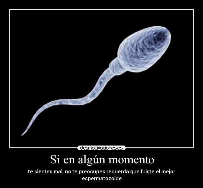 Si en algún momento - te sientes mal, no te preocupes recuerda que fuiste el mejor espermatozoide
