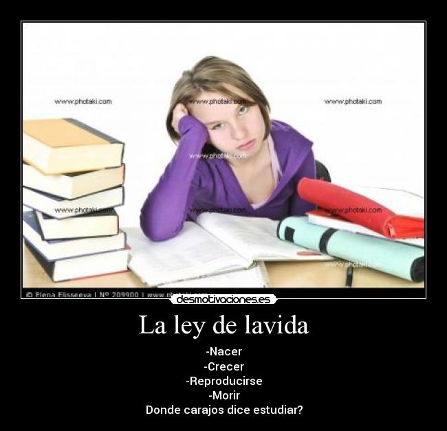 La ley de lavida - 