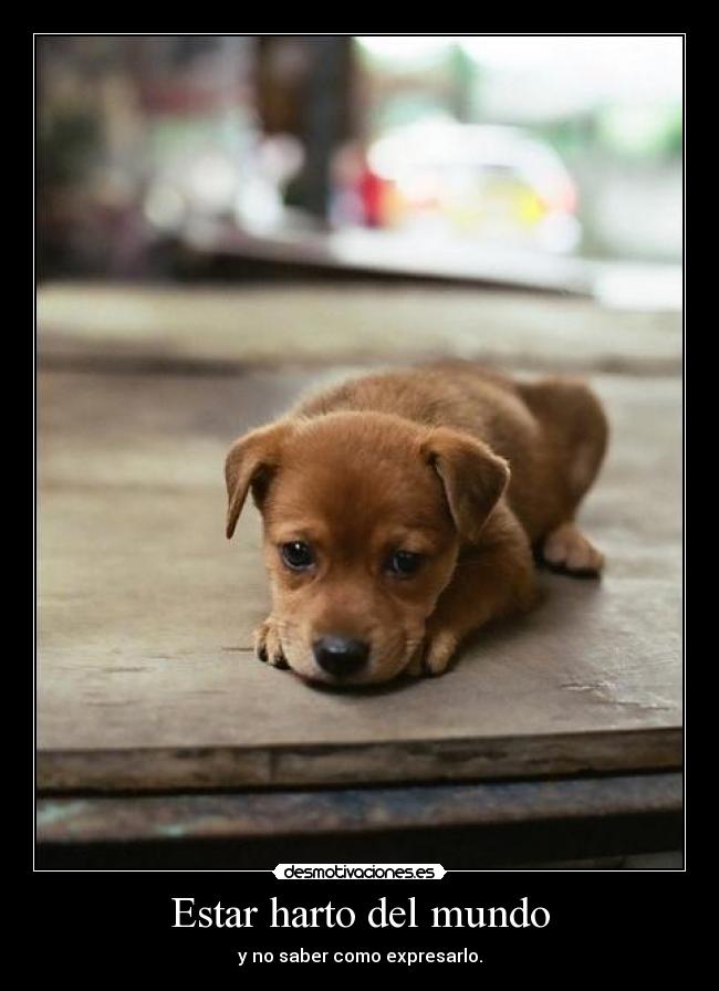Estar harto del mundo - y no saber como expresarlo.