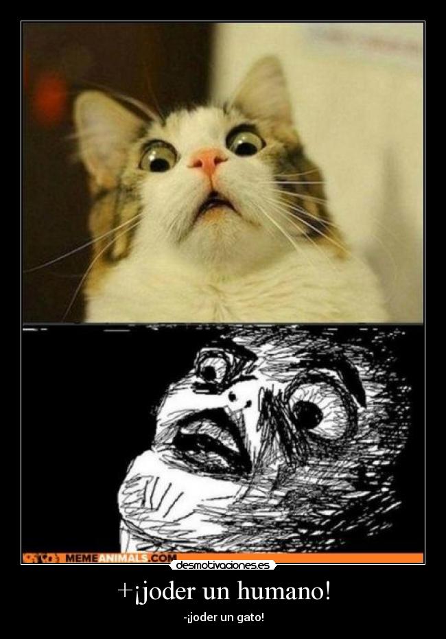 +¡joder un humano! - 