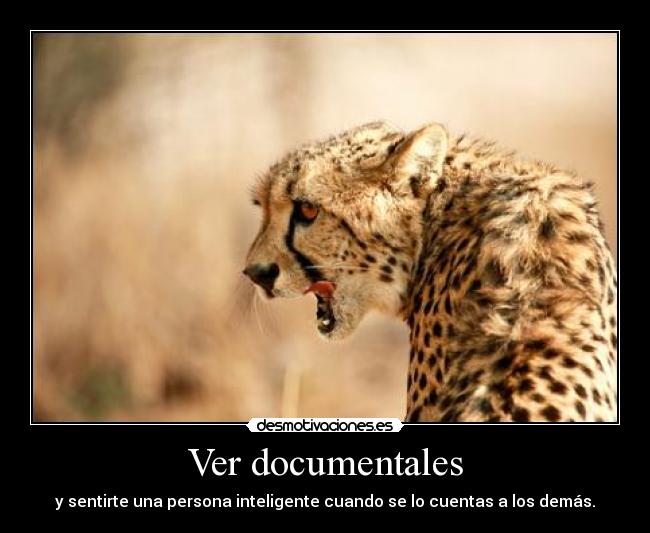 Ver documentales - y sentirte una persona inteligente cuando se lo cuentas a los demás.