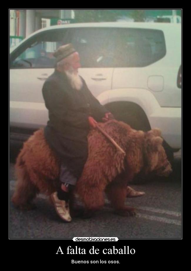 A falta de caballo - Buenos son los osos.